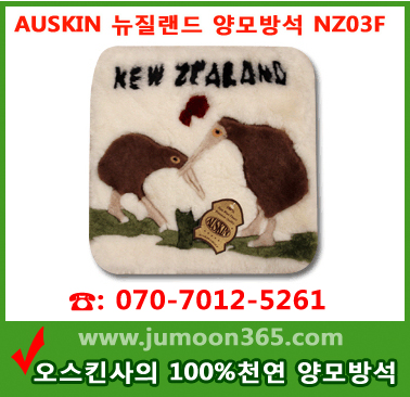 AUSKIN 뉴질랜드 양모방석 NZ03F.jpg